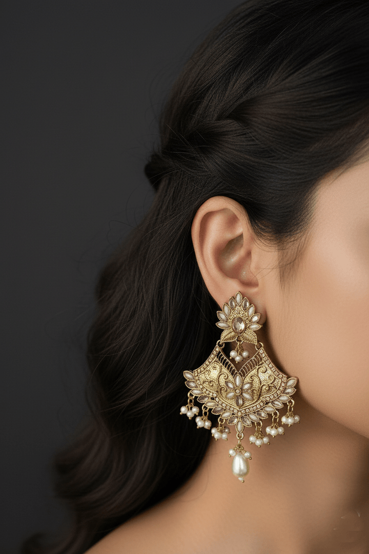 Rajhastani Silver Steel Earrings - RS ZEVARS