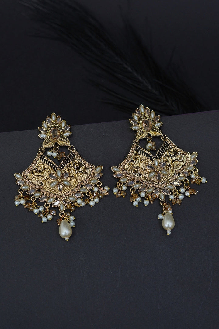 Rajhastani Silver Steel Earrings - RS ZEVARS