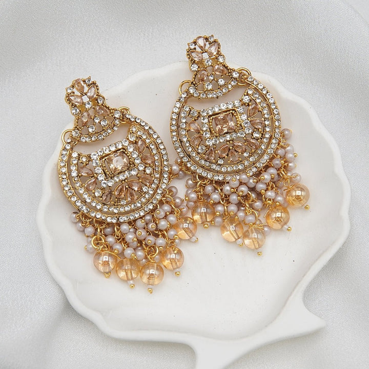 Zircons & Pearls Latkan Earrings - RS ZEVARS