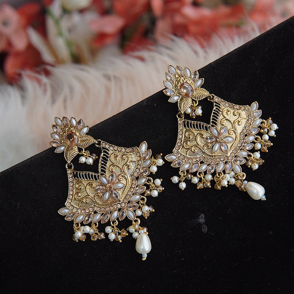 Rajhastani Silver Steel Earrings - RS ZEVARS